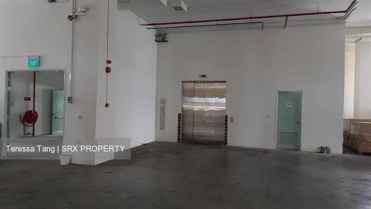 Loyang Industrial Estate (D17), Warehouse #209845831